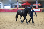 SBM_16644