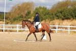 SBM_009362