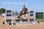 BPP_1567