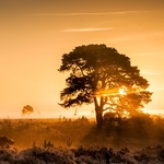 Landscape-014