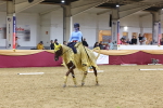 SBM_10226