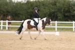 SBM_00431