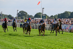 220826-Race 6-Sale Shark-1527