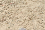 230721A-141326-06798
