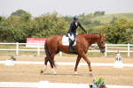 SBM_006328