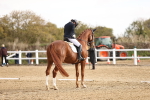 SBM_009617