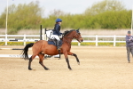 SBM_003626