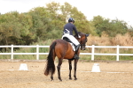 SBM_006461