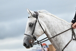 Cls 6 National 1.30m and 1.40m portfolio