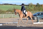 BPP_7991