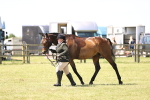 SBM_14966