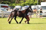 SBM_00891