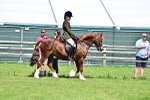 SBM_03711