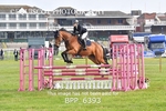 BPP_6393