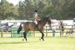 SBM_10214