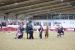 SBM_10209