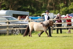SBM_01737