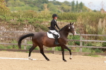 SBM_001419