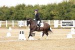 SBM_002659