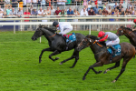 Race 2 2.15pm John And Judith Marshall Memorial Handicap portfolio