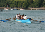 060616 SALCOMBE ROWERS WOLF IMG_9312