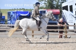 BPP_2397