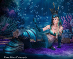 Mermaid-16