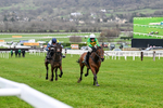 240126-Race 6-The New Lion-7466