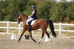 SBM_015848
