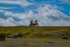 DSCF8851