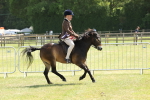 SBM_06871