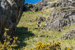 Coniston Senior-2