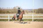 SBM_000645