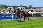 230626-Race 3-Tamzan-0690