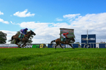 010826-Race 7-Maldevious-5018