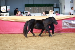 SBM_18438