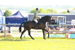 SBM_10927