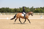 SBM_004379