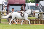 SBM_09528