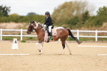 SBM_001873