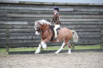 SBM_006160