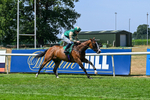 160726-Race 1-Clementines Star-3885