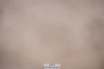 240706A-112947-01092