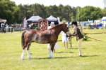 SBM_15557