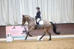 SBM_008080