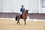 SBM_001165