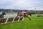 121225-Race 3-Moutarde-4997