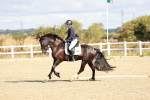 SBM_009807