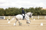 SBM_009543