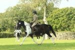 SBM_66530